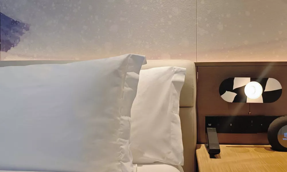 Crowne Plaza Shanghai Snow World, an IHG Hotel, фото 3