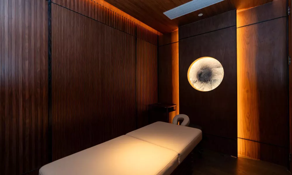 Vignette Collection Shanghai Snow World Hotel, an IHG Hotel, фото 5