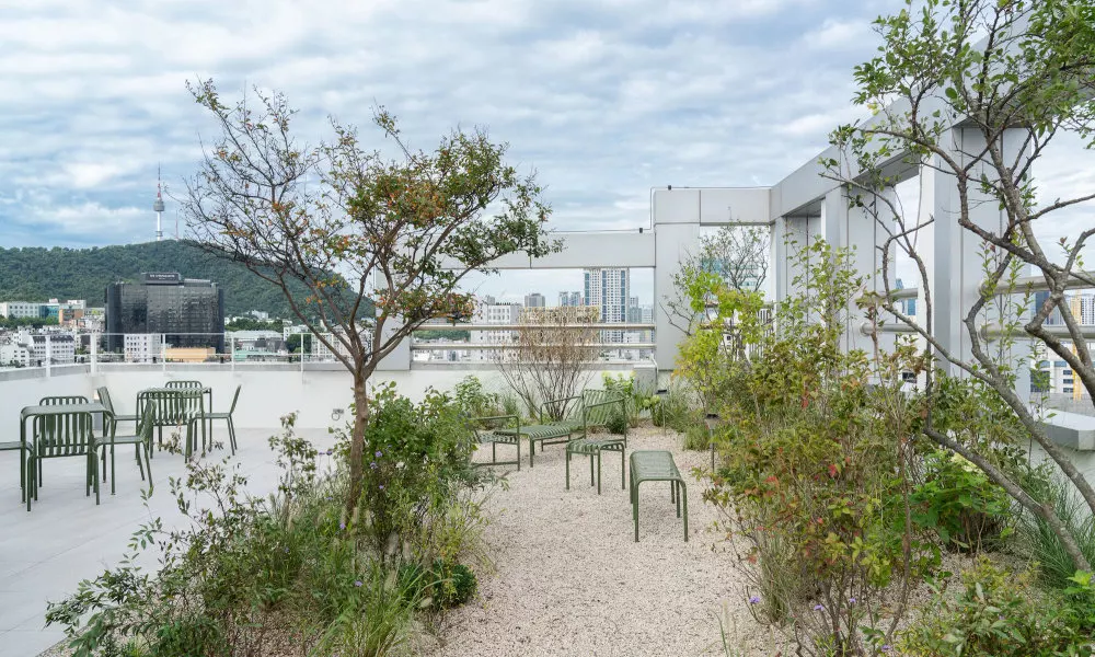 Mangrove Dongdaemun, фото 5