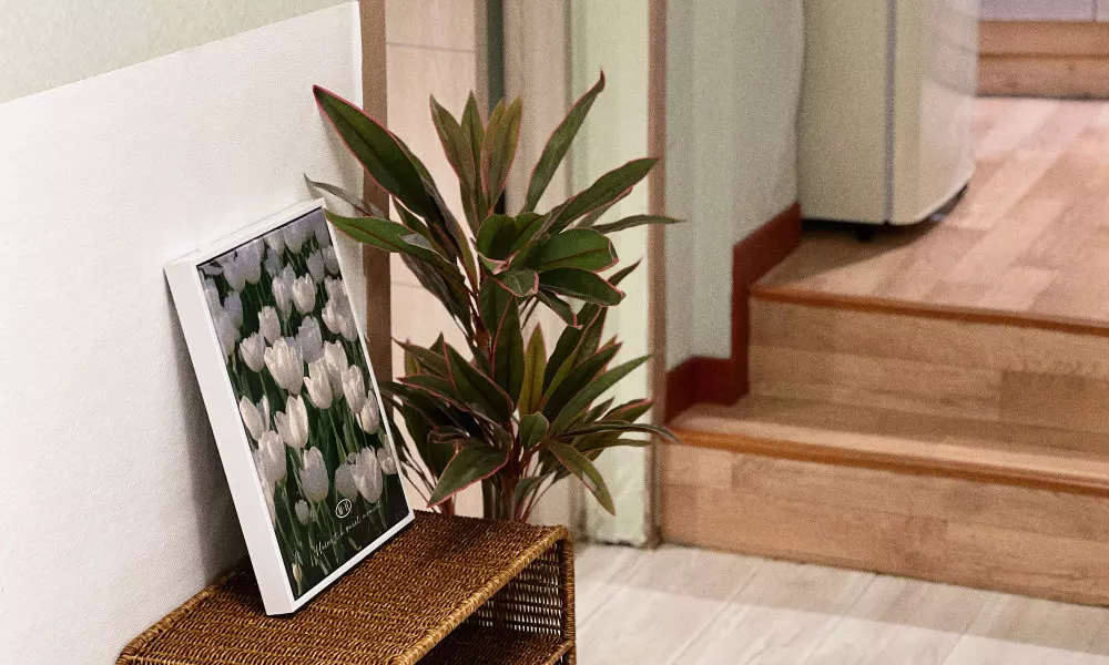 Jnineguesthouse, фото 4