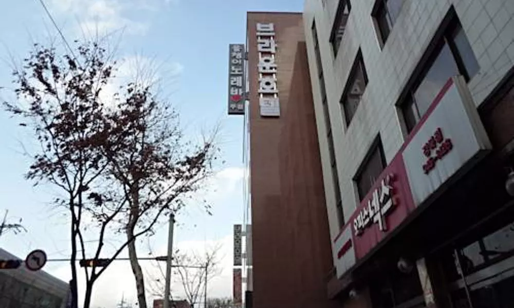 Brown Tourism Hotel
