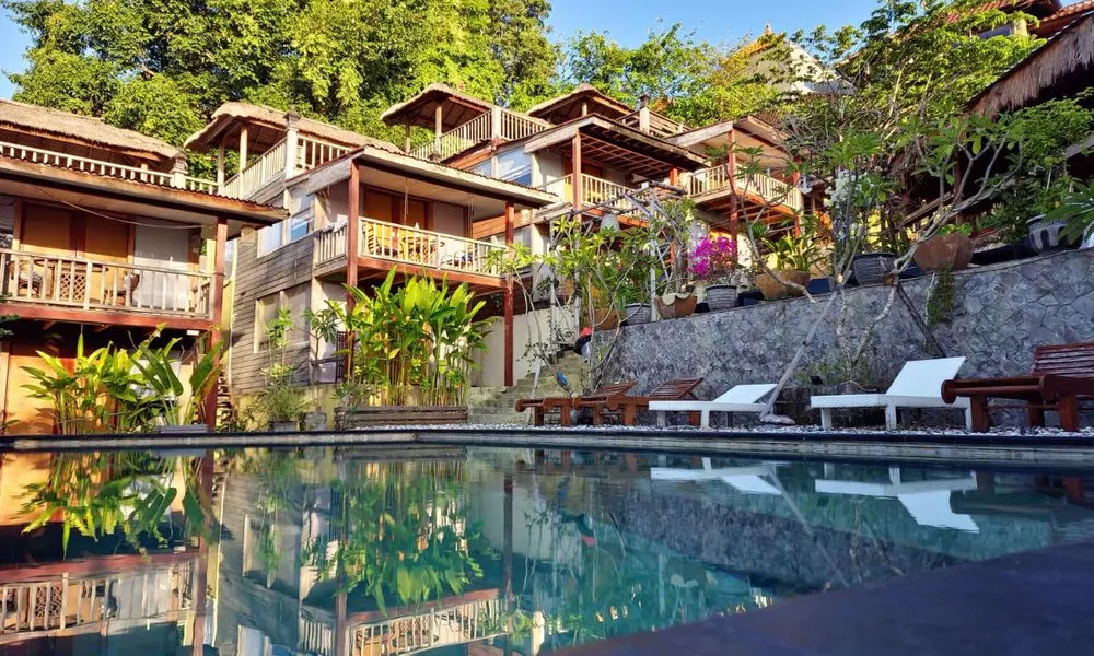 The Tree House