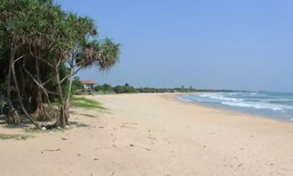 Blissbay Resort, фото 5