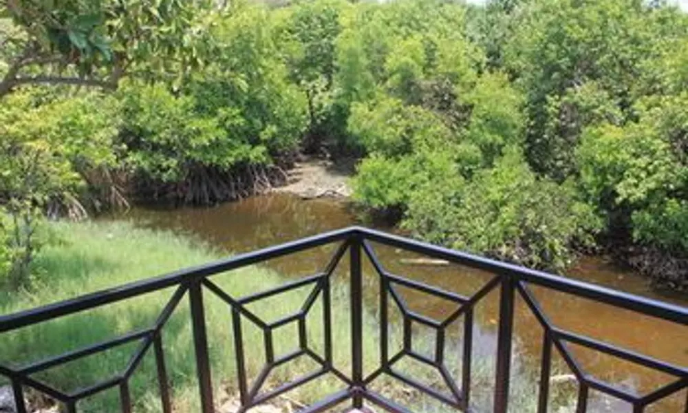 Blissbay Resort, фото 2