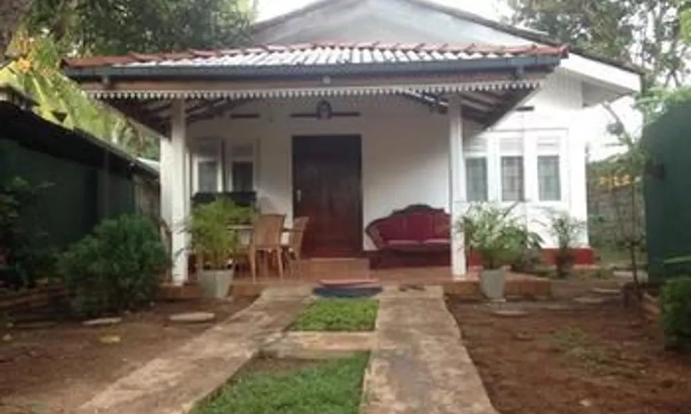 Villahredpalm