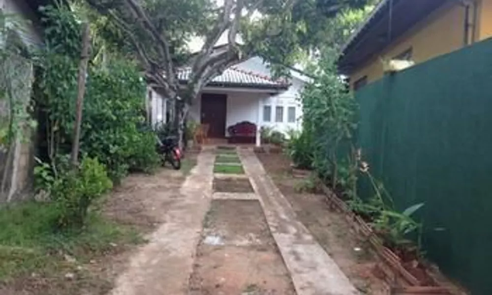 Villahredpalm, фото 5