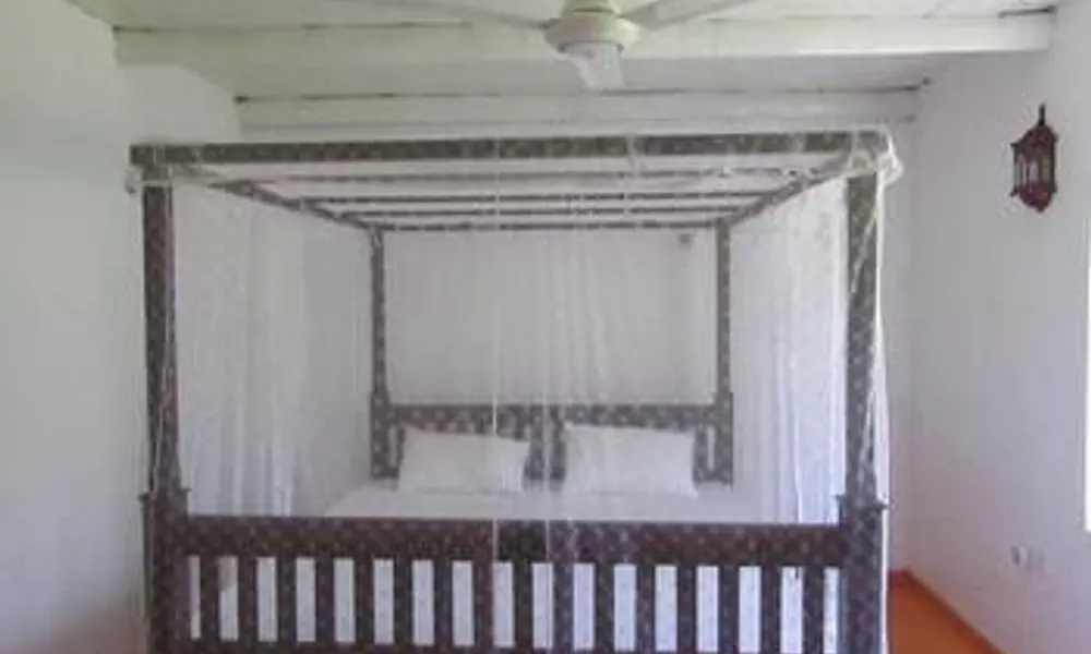 The Colonial Villa, фото 2
