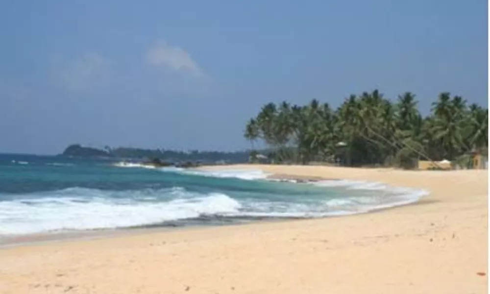 Dalawella Beach Resort by Deco, фото 2