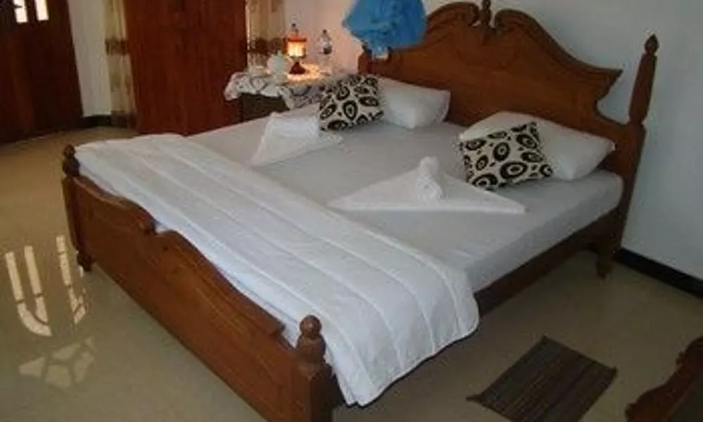 Bentota Dilu Villa, фото 3