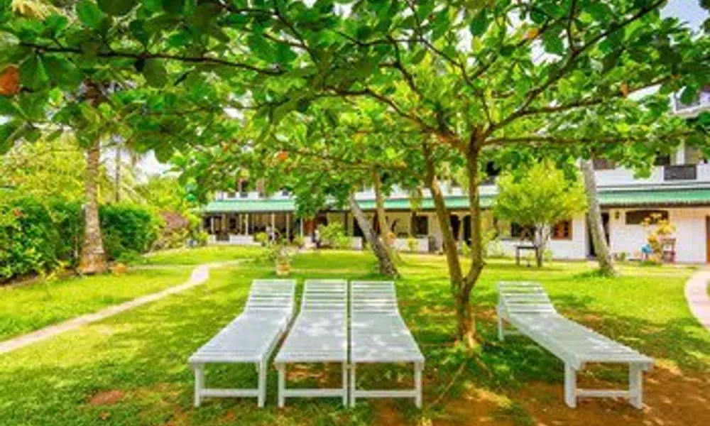 Sea View Beach Resort, фото 3