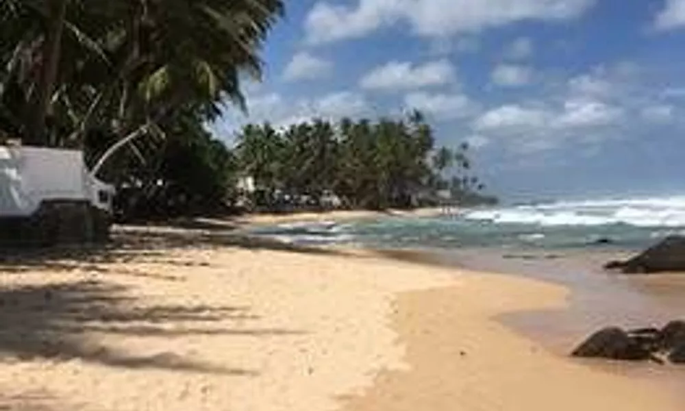 Coconut Treehouse, фото 5