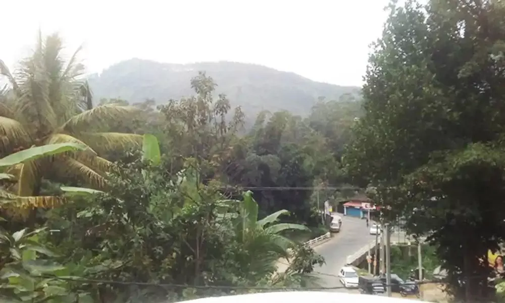 Ella Gate Resort, фото 4