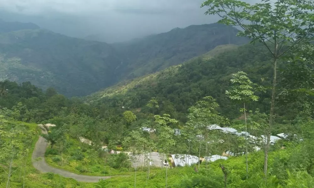 Ella Water Fall Resort, фото 4