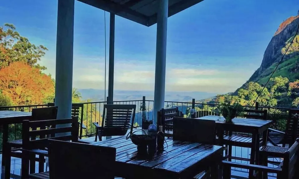 Dewy Arena Hotel, фото 3