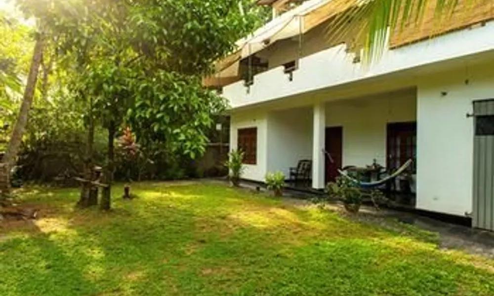 Jungleside House, фото 3