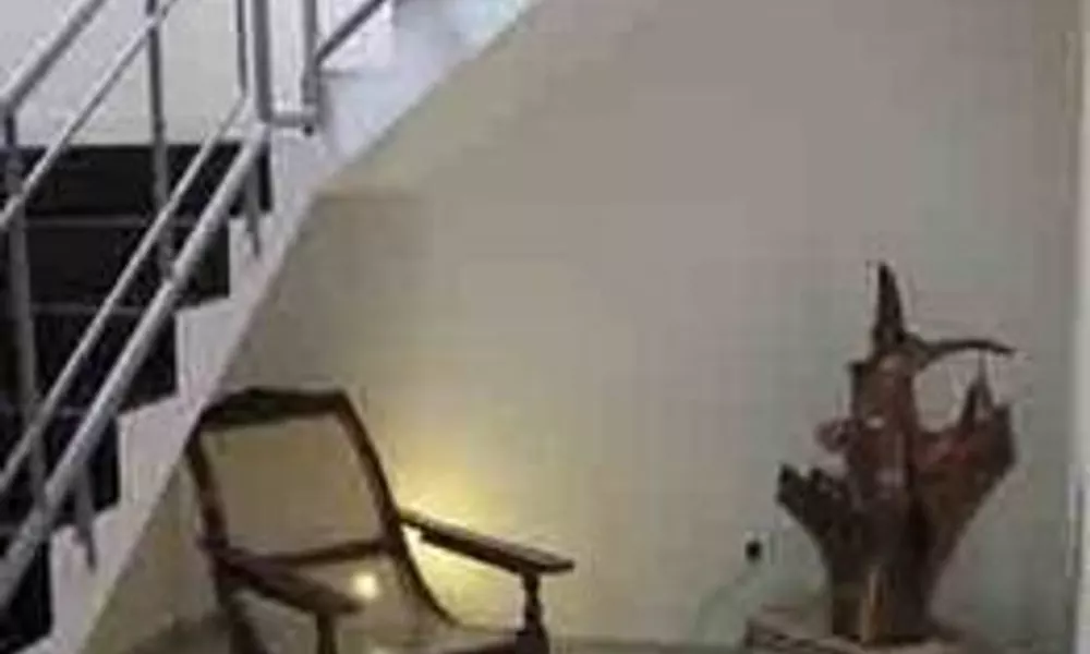 Jungleside House, фото 4