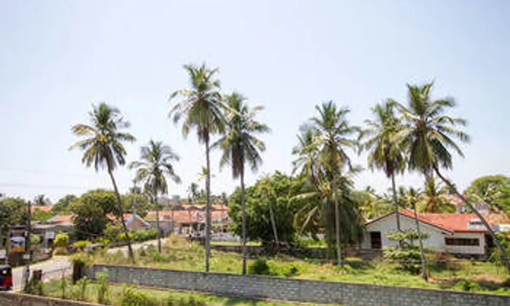 Island Breeze srilanka, фото 4