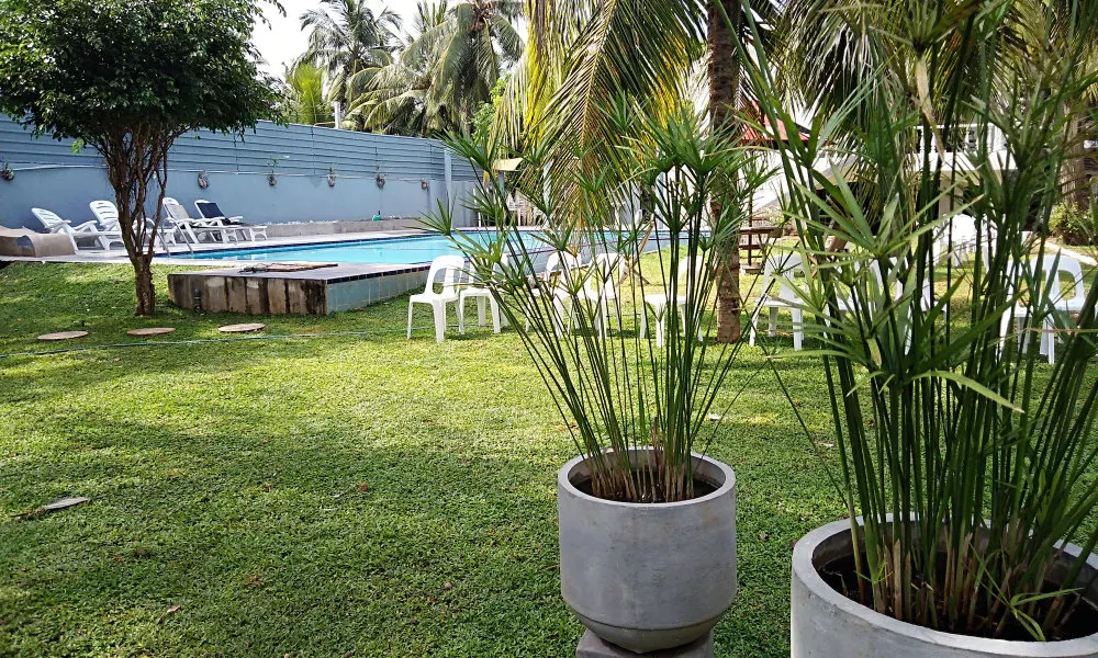 Cinnamon Villa Negombo, фото 4