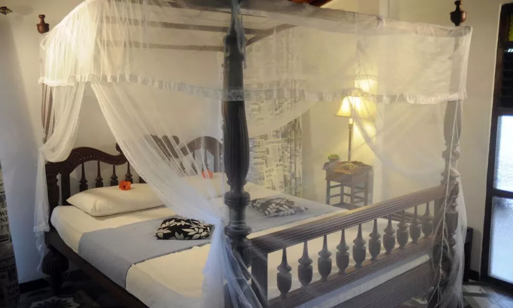 Banja Little Villa, фото 2