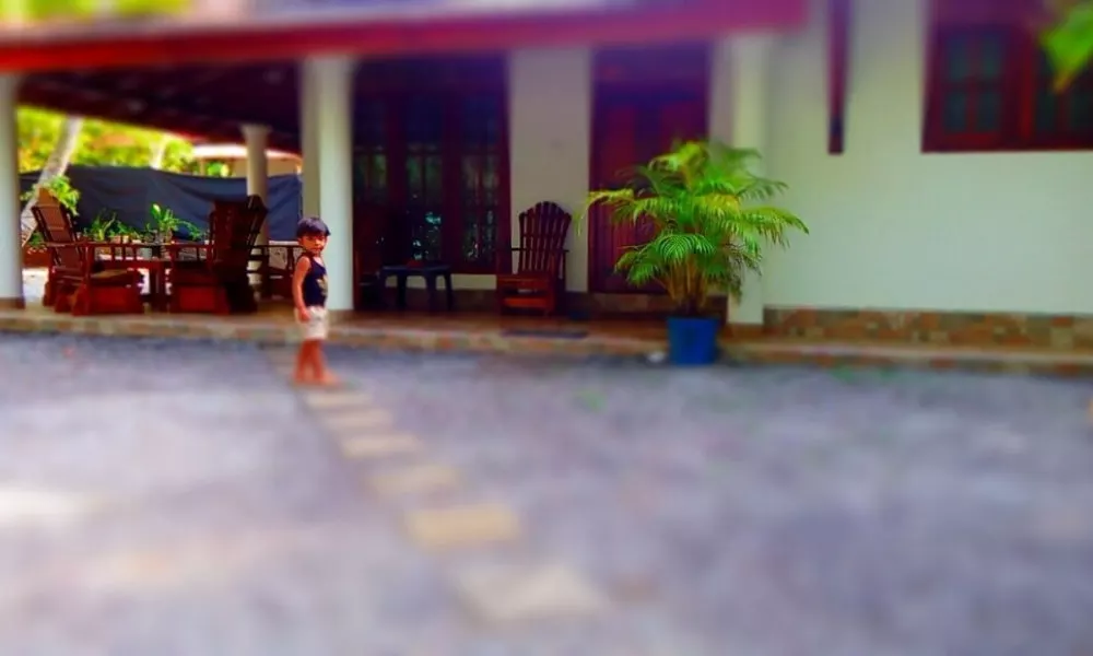 Villa Peacock, фото 3