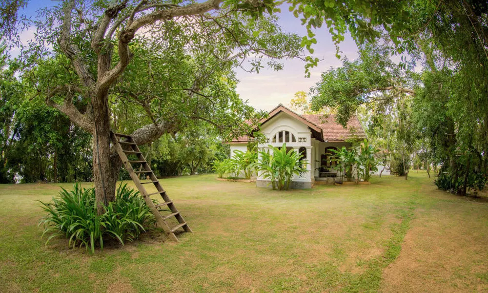 MO River House, фото 5