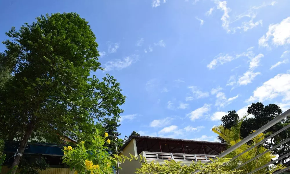 Eco Hill Bungalow, фото 5