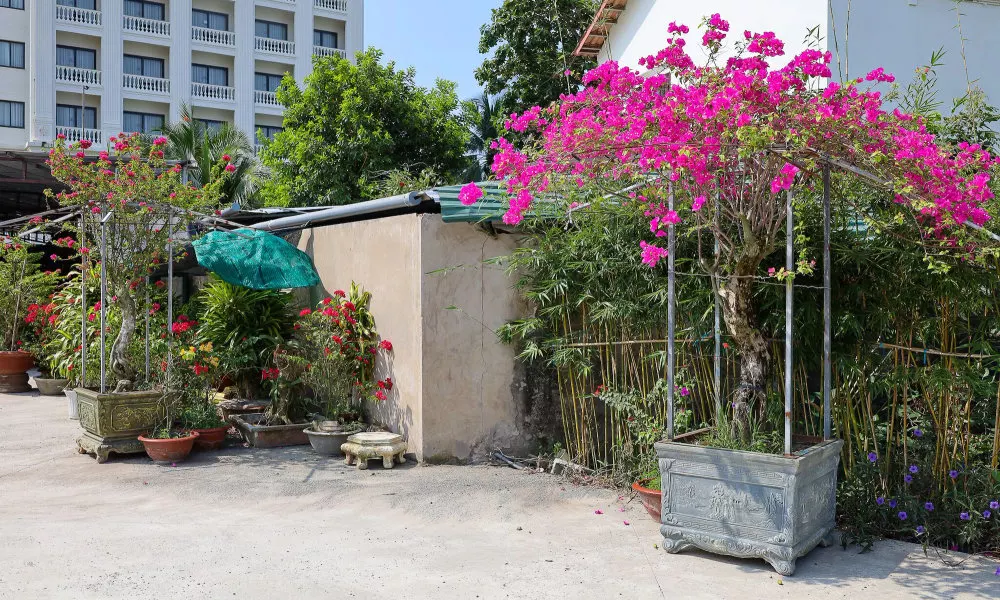 Lily Bungalow, фото 4