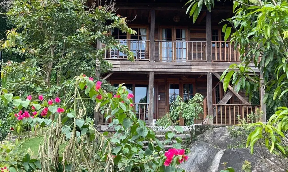 Freedom Jungle Resort