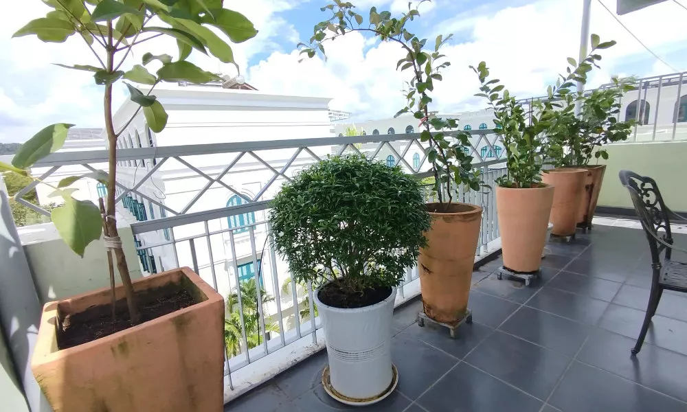 Kalia 5 Rooms Apartment Phu Quoc, фото 4
