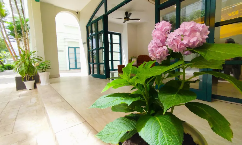 Kalia Phu Quoc Hotel 2, фото 5