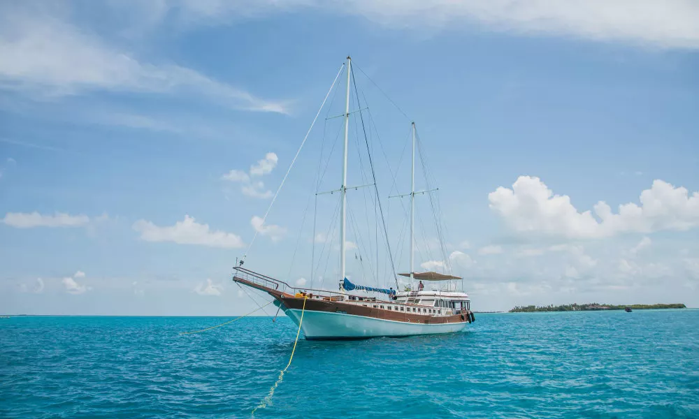 Akoya Pearl
