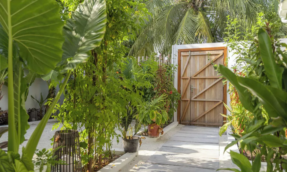Oasis Dhigurah