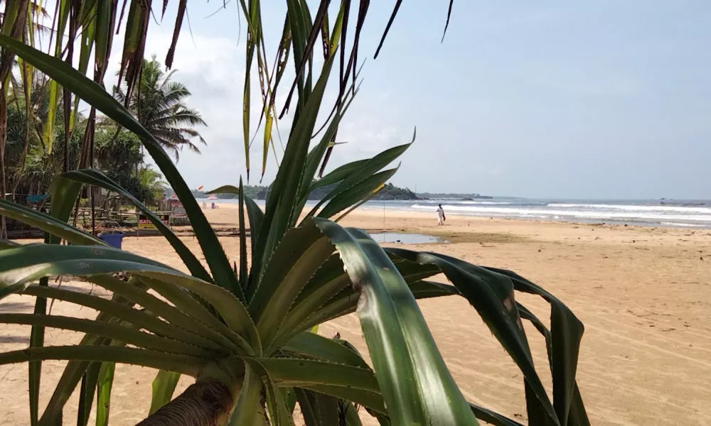 Moragalla Beach Home Guesthouse (Newly opened hotel), фото 4