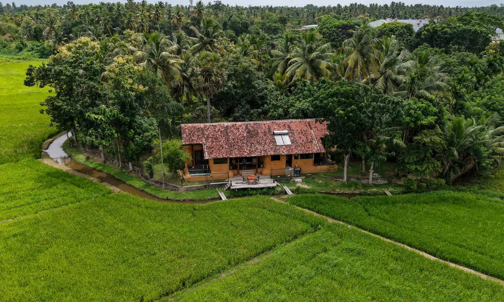 Kirindi Paddy Isle