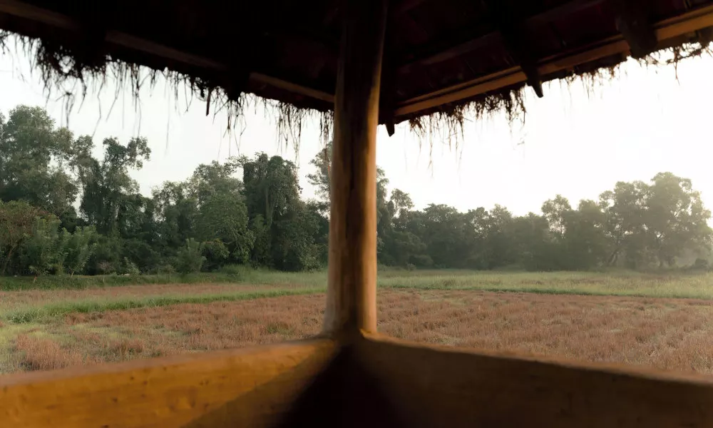 Kirindi Paddy Isle, фото 3