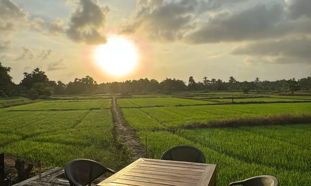 Kirindi Paddy Isle, фото 5