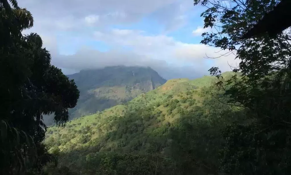 Ella Camping Resort