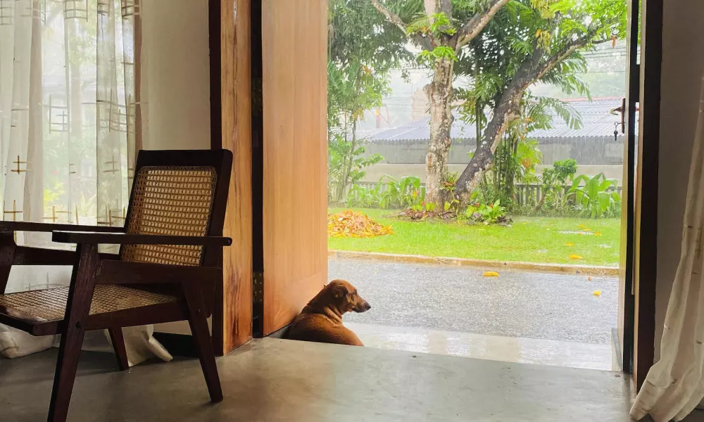 Happy Valley Residence Unawatuna, фото 4