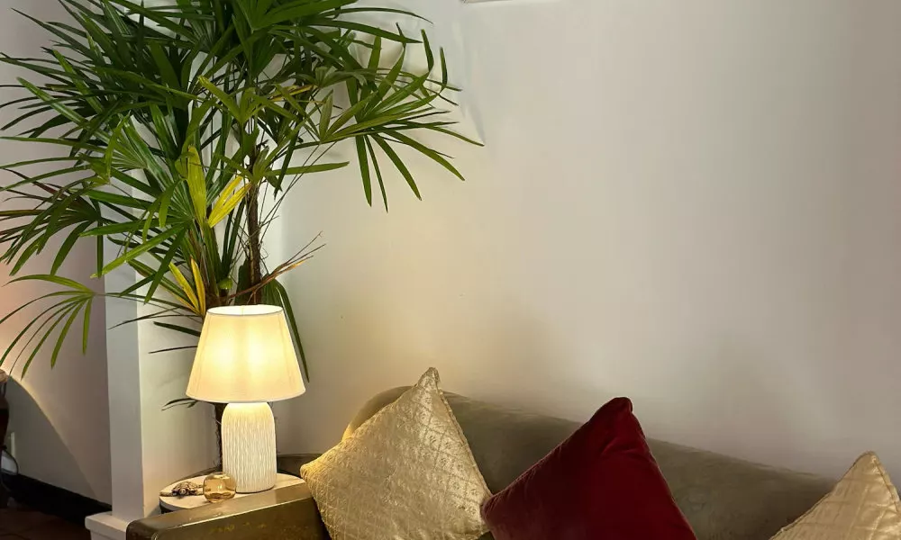 Mango Tree Villa, фото 2
