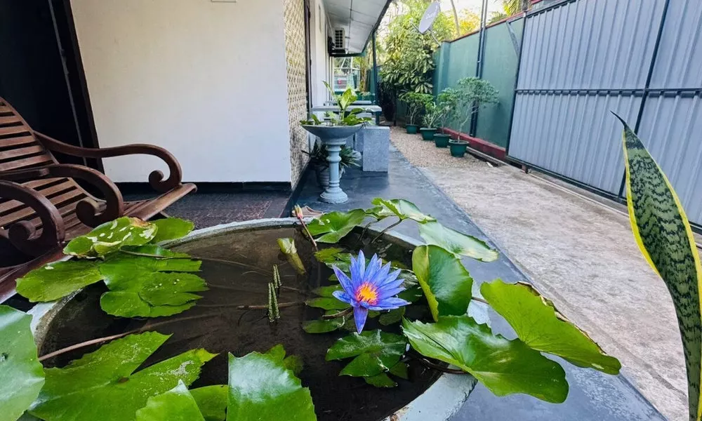 Aurelle Villa, фото 5