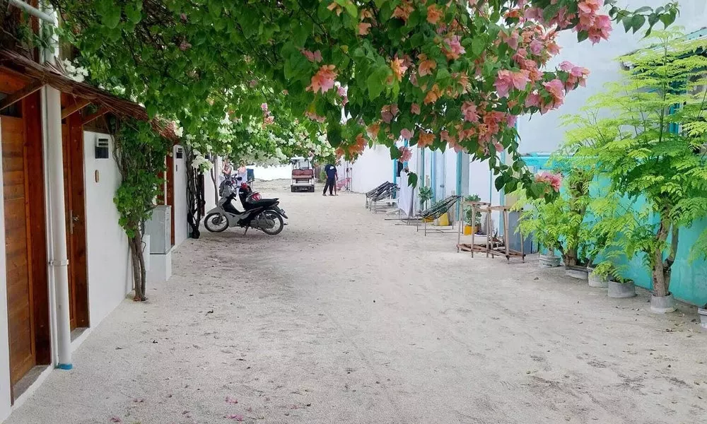 Navaya Dhiffushi, фото 5