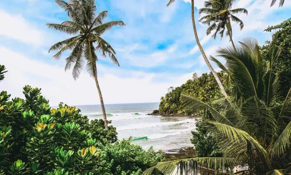 Surf Sea Breeze, фото 3