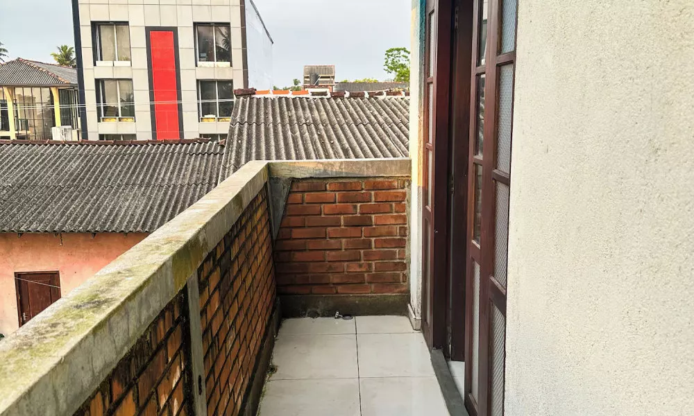 New Panda House, фото 4