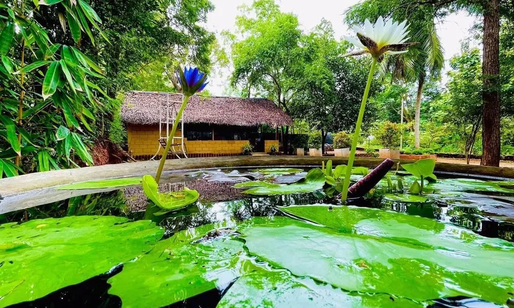 Harambathenna Resort Anuradhapura, фото 4