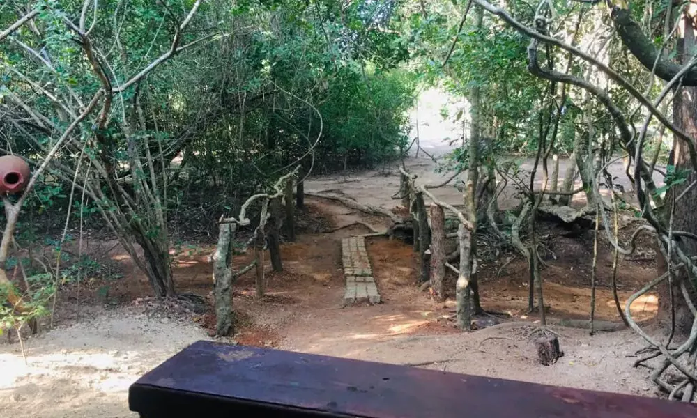 Hidden Jungle Village Wilpattu, фото 4