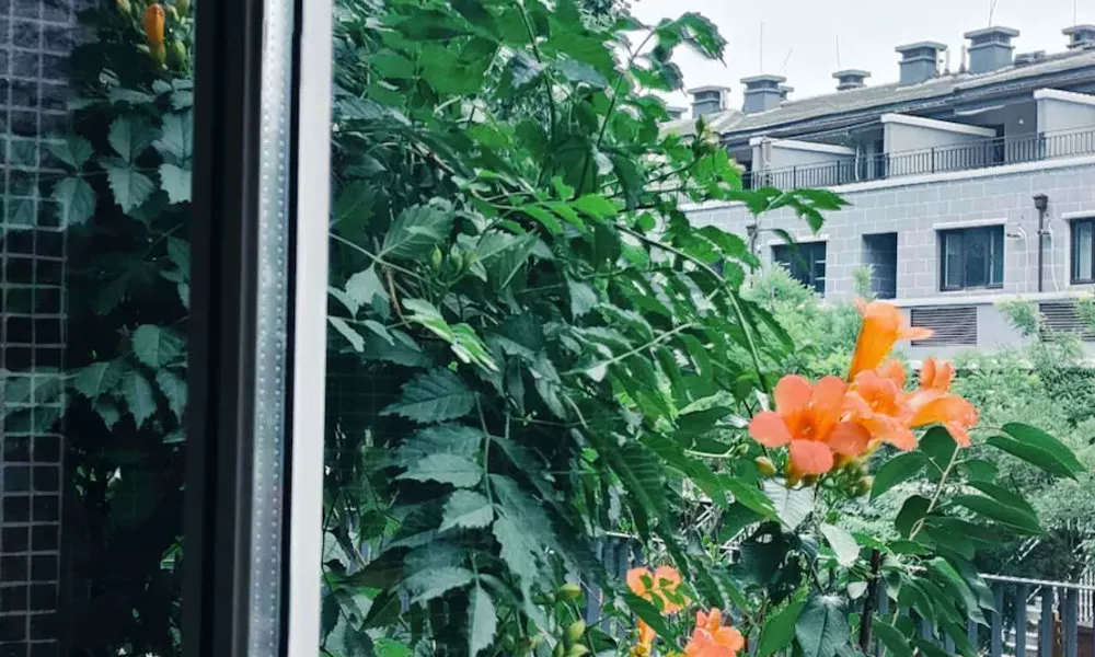 ATRIUM FENGZHU HOMESTAY, фото 3