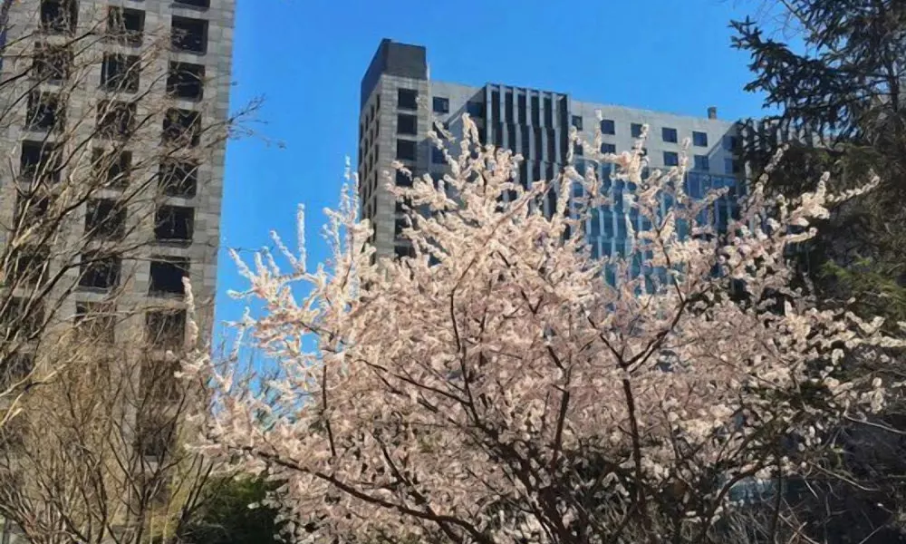Beijing Yilejia Apartment
