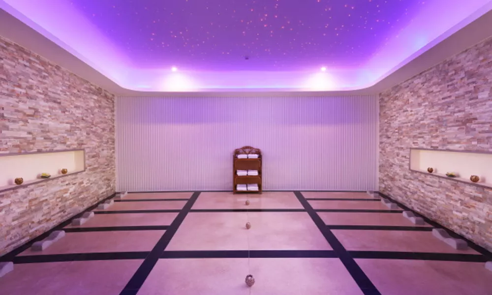 Zhongjia Palace Hot Spring Hotel, фото 3