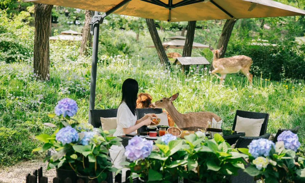 Zhi Resort Beijing