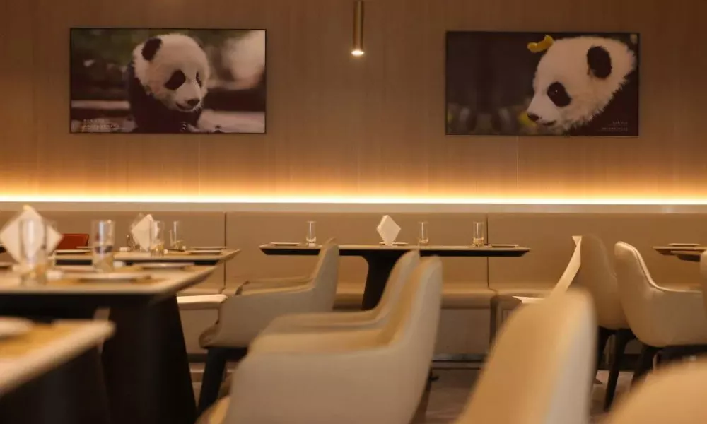 Golden Panda Hotel, фото 4
